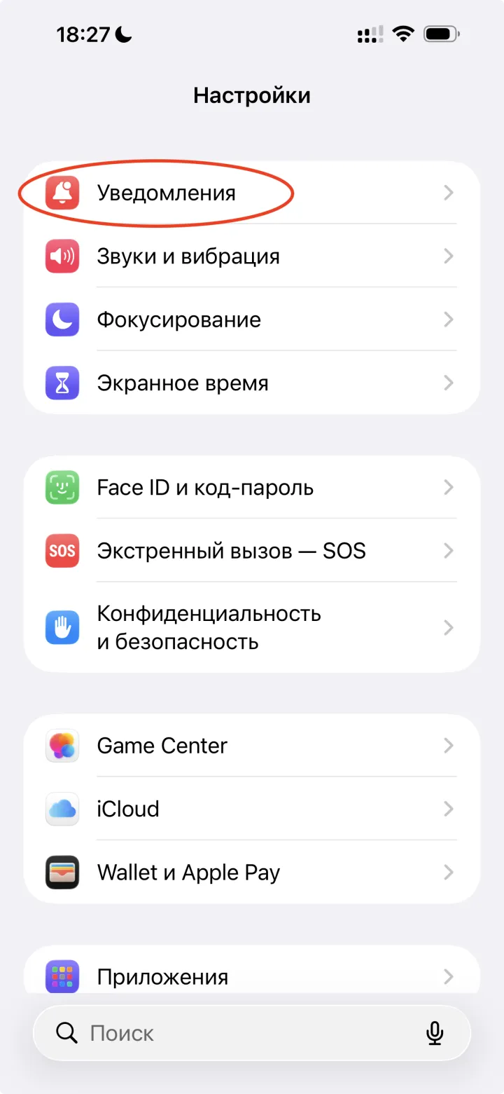 Настройки iPhone — раздел «Уведомления» для настройки уведомлений MAX