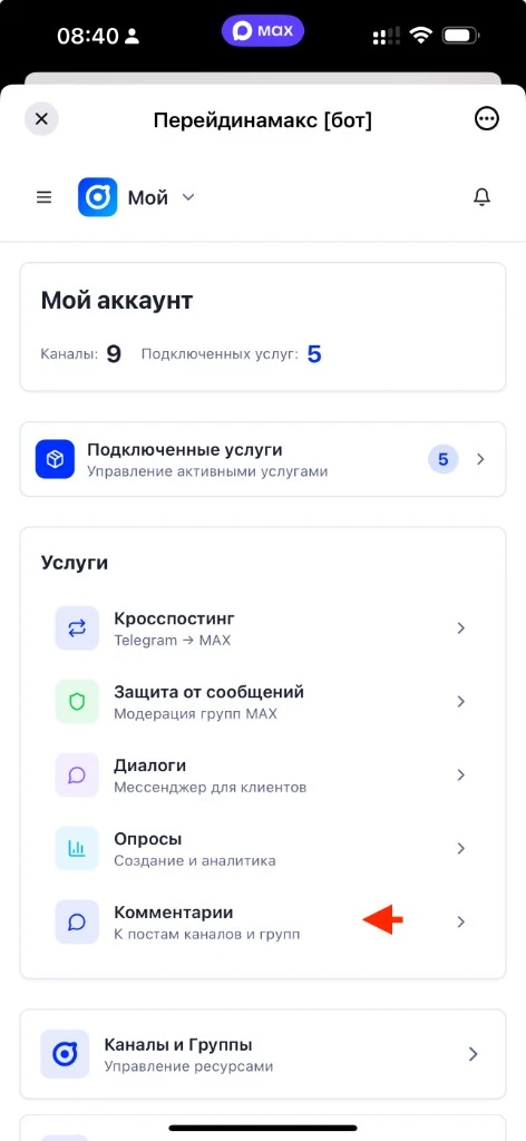 Главная страница мини-приложения с выбором услуги «Комментарии»